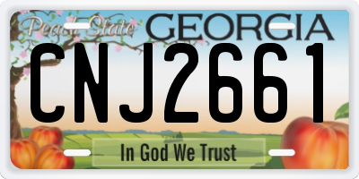 GA license plate CNJ2661