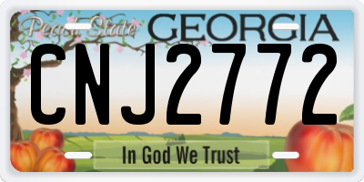 GA license plate CNJ2772