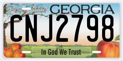 GA license plate CNJ2798