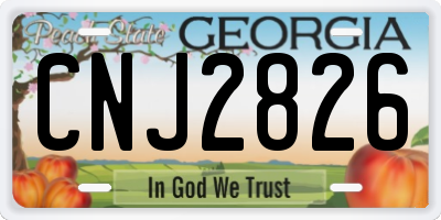 GA license plate CNJ2826