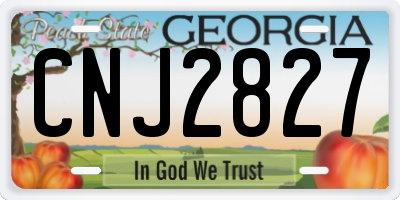 GA license plate CNJ2827
