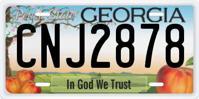 GA license plate CNJ2878
