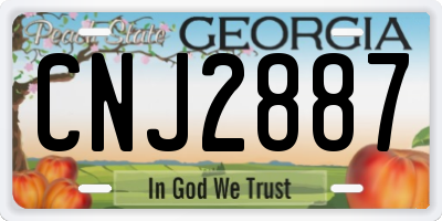 GA license plate CNJ2887