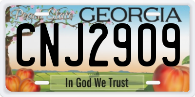 GA license plate CNJ2909