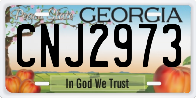 GA license plate CNJ2973