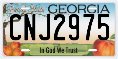 GA license plate CNJ2975