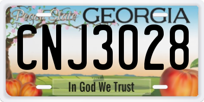 GA license plate CNJ3028