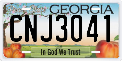 GA license plate CNJ3041