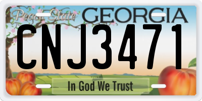 GA license plate CNJ3471