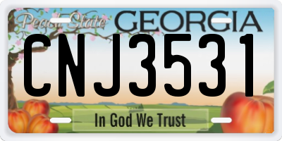 GA license plate CNJ3531