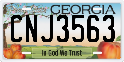 GA license plate CNJ3563