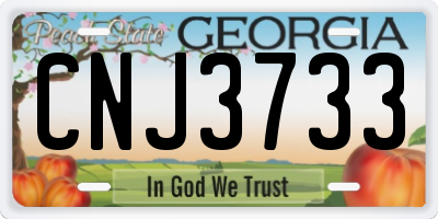 GA license plate CNJ3733