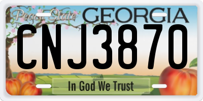 GA license plate CNJ3870