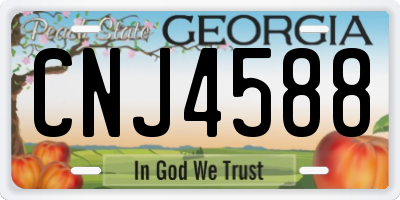 GA license plate CNJ4588