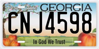 GA license plate CNJ4598