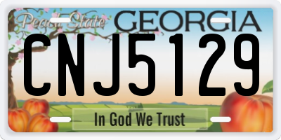 GA license plate CNJ5129