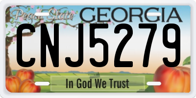 GA license plate CNJ5279