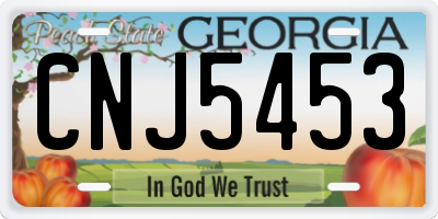 GA license plate CNJ5453