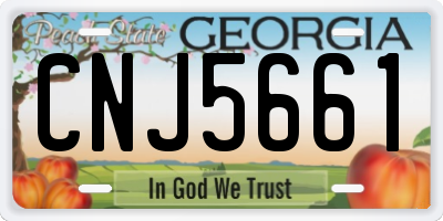 GA license plate CNJ5661