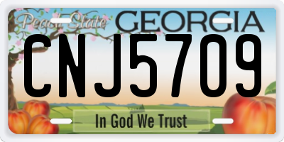GA license plate CNJ5709