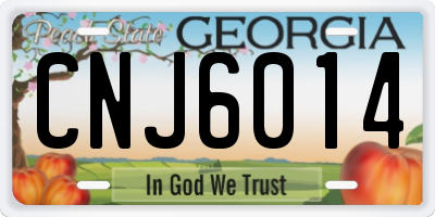 GA license plate CNJ6014