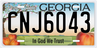 GA license plate CNJ6043