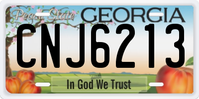 GA license plate CNJ6213