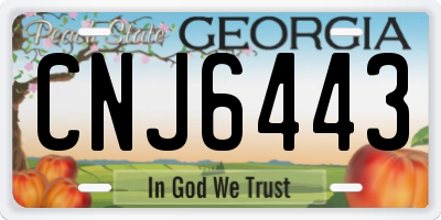 GA license plate CNJ6443