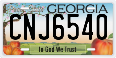GA license plate CNJ6540