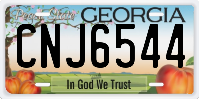 GA license plate CNJ6544