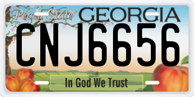 GA license plate CNJ6656