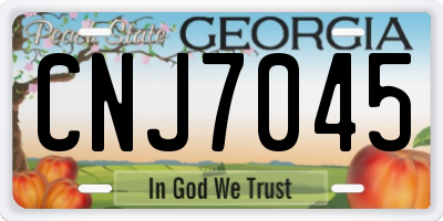 GA license plate CNJ7045