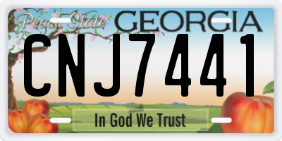 GA license plate CNJ7441