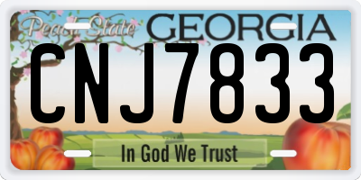 GA license plate CNJ7833
