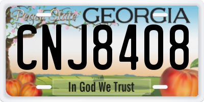 GA license plate CNJ8408