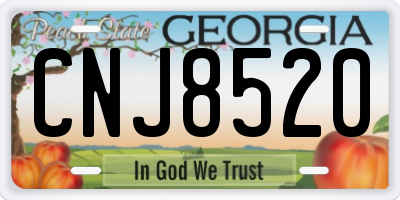 GA license plate CNJ8520