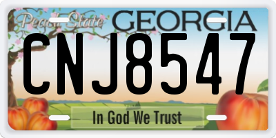 GA license plate CNJ8547