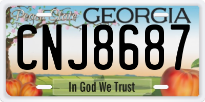 GA license plate CNJ8687