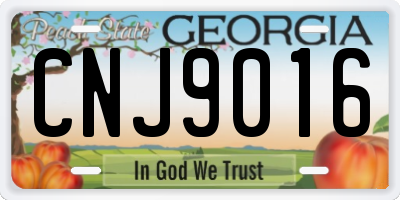 GA license plate CNJ9016