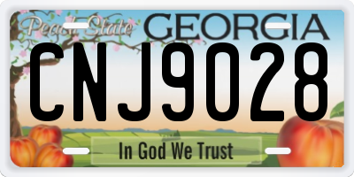 GA license plate CNJ9028