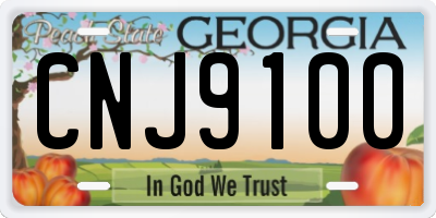 GA license plate CNJ9100