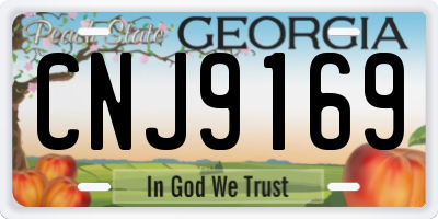 GA license plate CNJ9169