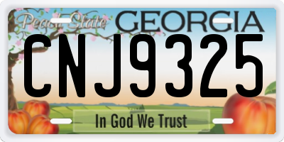 GA license plate CNJ9325