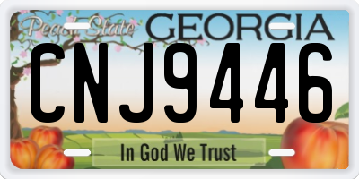 GA license plate CNJ9446