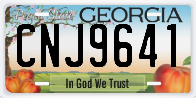 GA license plate CNJ9641