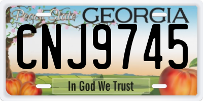 GA license plate CNJ9745