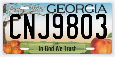 GA license plate CNJ9803