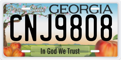 GA license plate CNJ9808