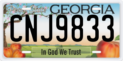 GA license plate CNJ9833