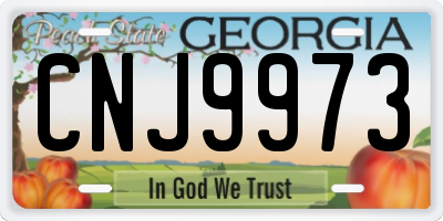 GA license plate CNJ9973